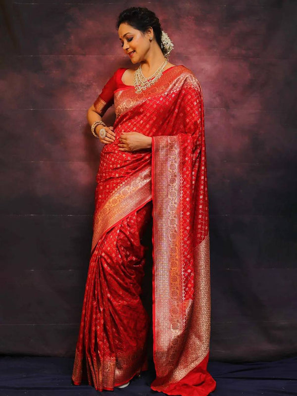 Royal Red Banarasi Silk Saree With Rich Zari Border | Traditional Wedding Saree | Paridhan Silk